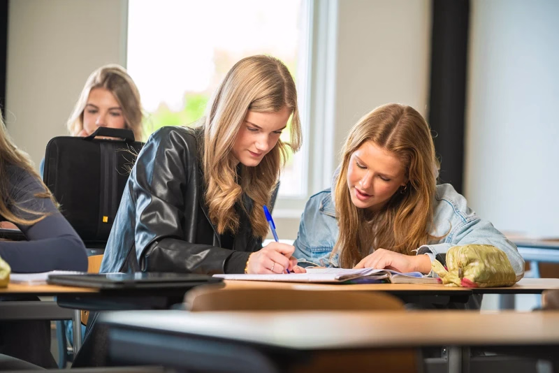 Canisius Tubbergen organiseert zwerkbaltoernooi voor Tweetalig Onderwijs scholen uit de regio